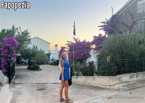 wildkittyx OnlyFans Leaks 2025