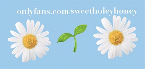 bootyholefairy OnlyFans Leaks 2025