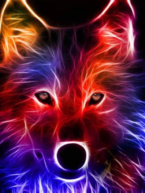 colorful_wolf OnlyFans Leaks 2025