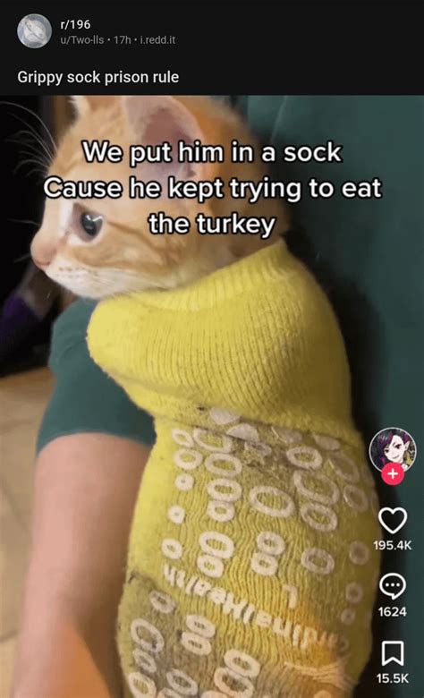 cutesockprincess OnlyFans Leaks 2025